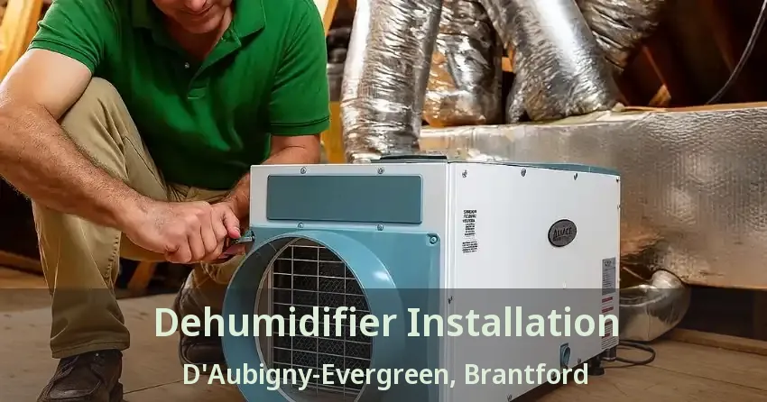 Dehumidifier Installation D'Aubigny-Evergreen, Brantford - ON