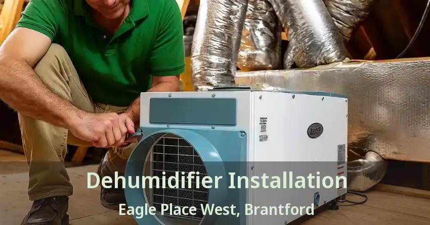 Dehumidifier Installation Eagle Place West, Brantford - ON