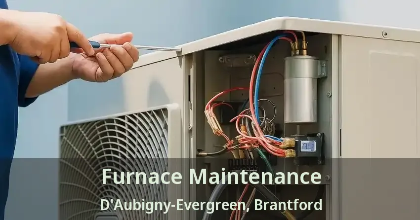 Furnace Maintenance D'Aubigny-Evergreen, Brantford - ON