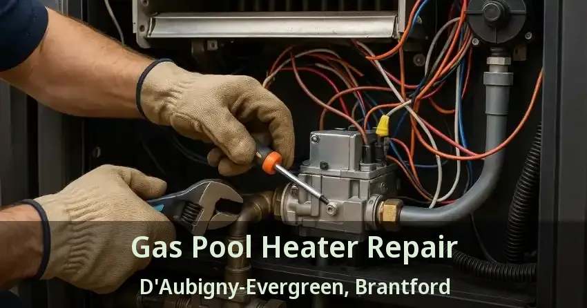 Gas Pool Heater Repair D'Aubigny-Evergreen, Brantford - ON