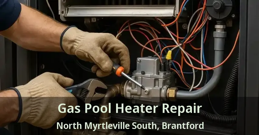 Gas Pool Heater Repair North Myrtleville South, Brantford - ON