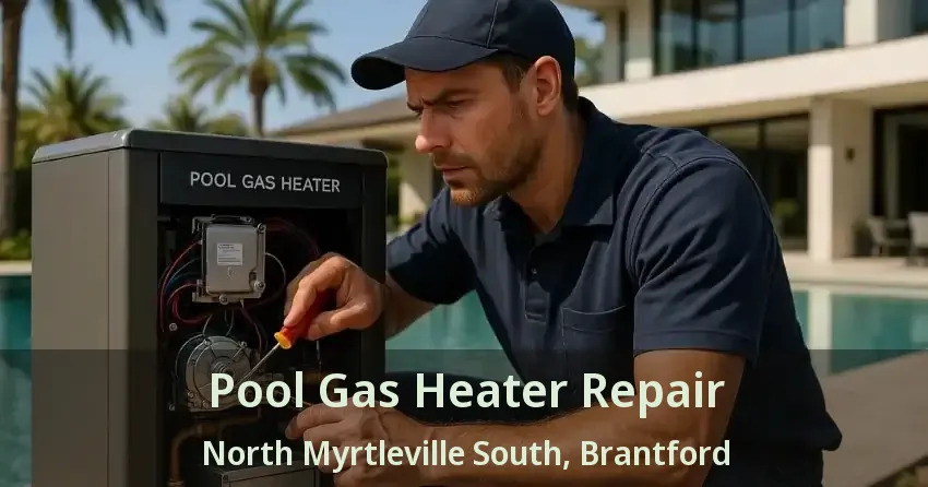 Pool Gas Heater Repair North Myrtleville South, Brantford - ON