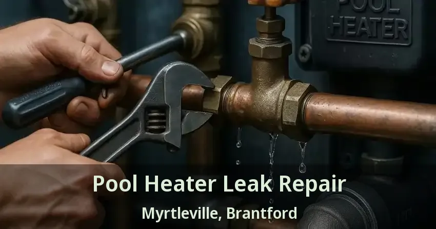 Pool Heater Leak Repair Myrtleville, Brantford - ON