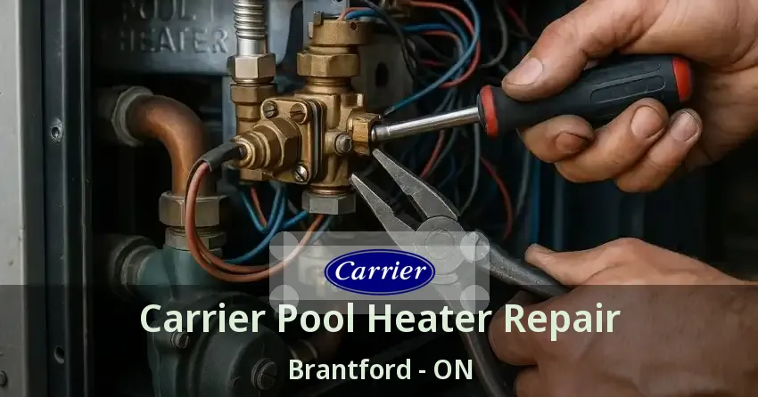 Carrier Pool Heater Repair Brantford - ON